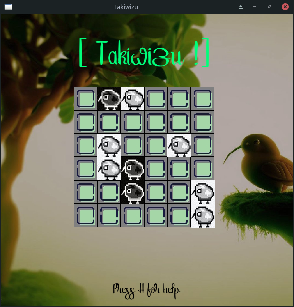 Aperçu du projet Takiwizu